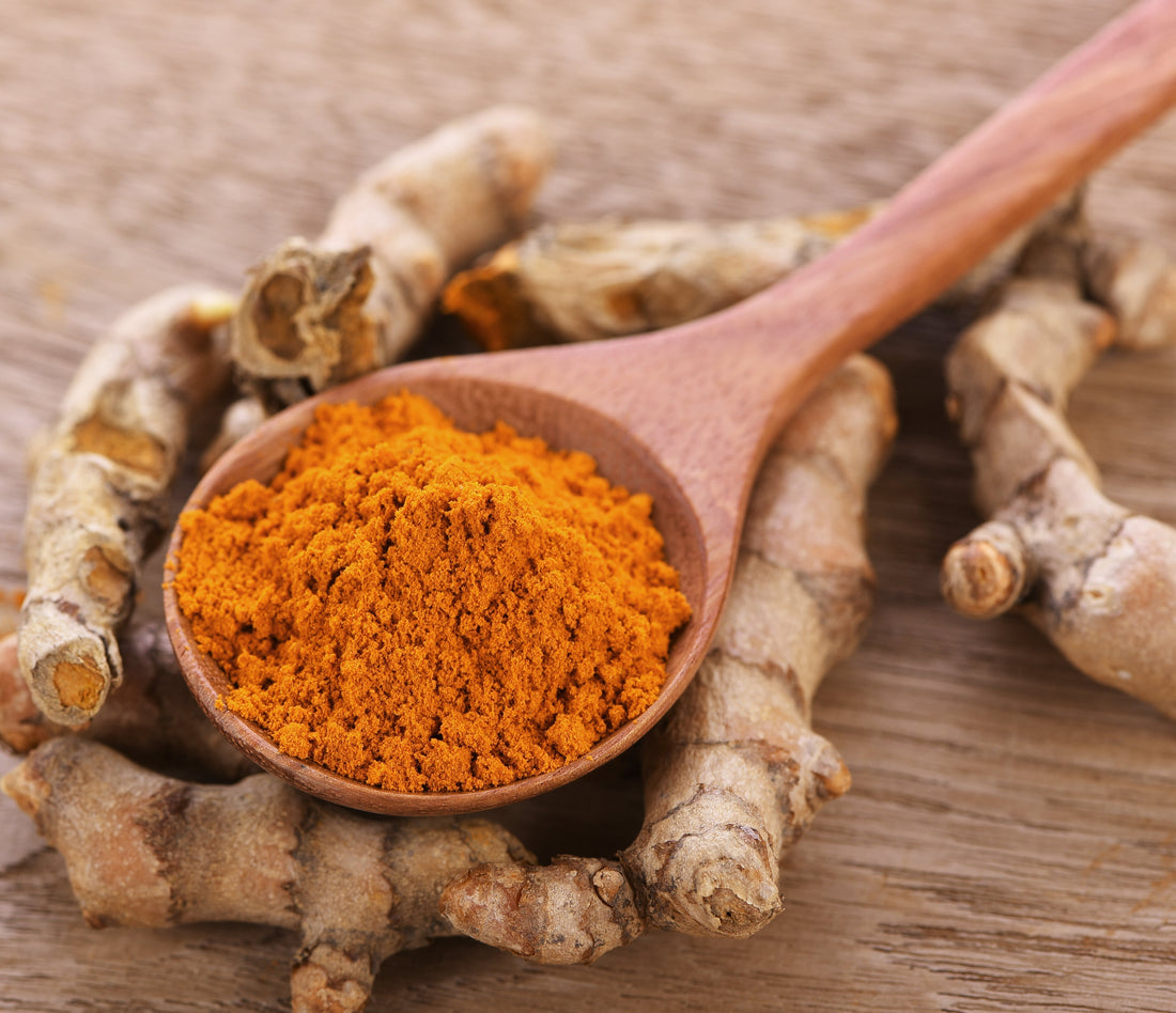 Curcumin &amp; Piperine: A Powerful Duo for Health and Wellness